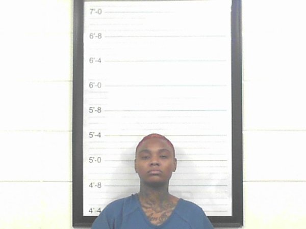 Mugshot of TAMEKA MONAE DUBOSE