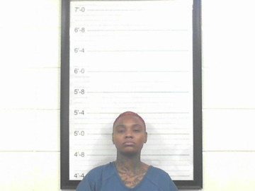 Mugshot of TAMEKA MONAE DUBOSE