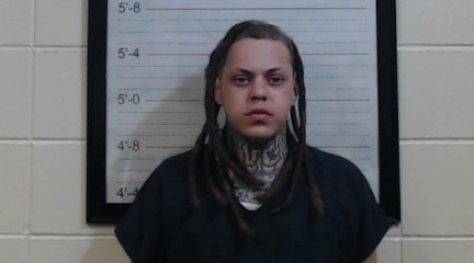 Mugshot of TROY JOSEPH JOHNSON