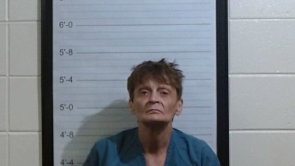 Mugshot of KAREN DENISE JOHNSON