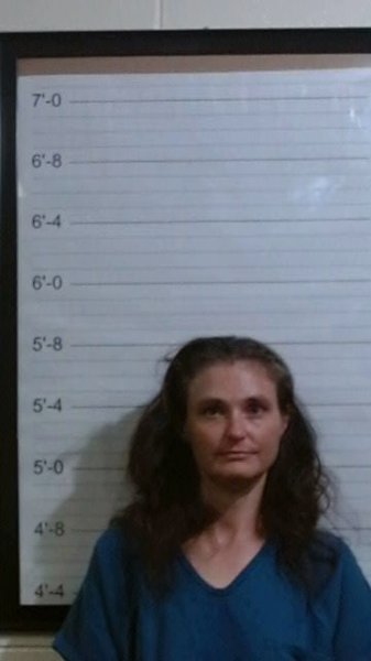 Mugshot of JENNIFER COLLEEN MORRISON