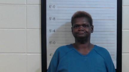 Mugshot of LANDREA NATASHA WIGGINS