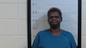 Mugshot of LANDREA NATASHA WIGGINS