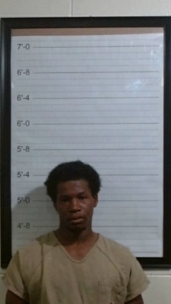 Mugshot of DORIAN RASHON JONES