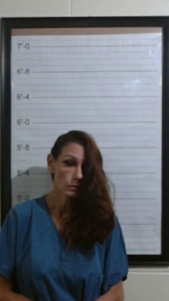 Mugshot of ANDREA DEE COLLINS