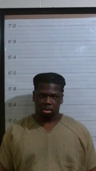 Mugshot of DAVID D BLEVINS