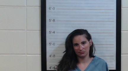 Mugshot of DONNA MARIE HASKINS