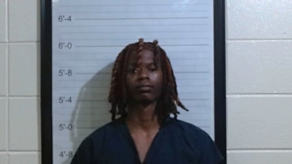 Mugshot of LEDELL JR. OUSLEY