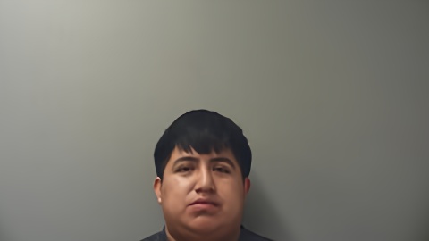 Mugshot of PEDRO PEDRO
