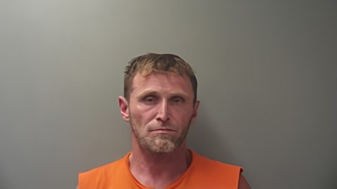 Mugshot of BOBBY DAVIS