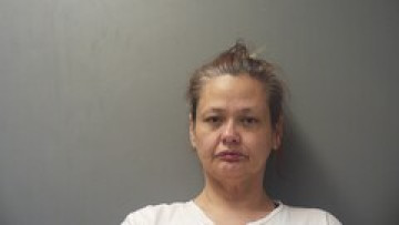 Mugshot of TERRI ANDERSON