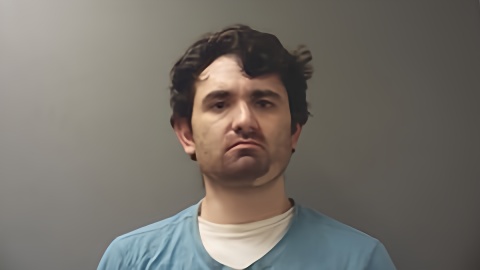 Mugshot of ROBERT COX
