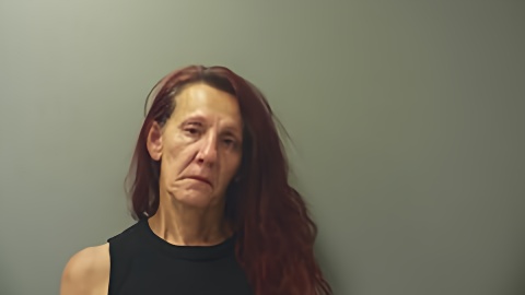 Mugshot of STACEY WILLIAMS