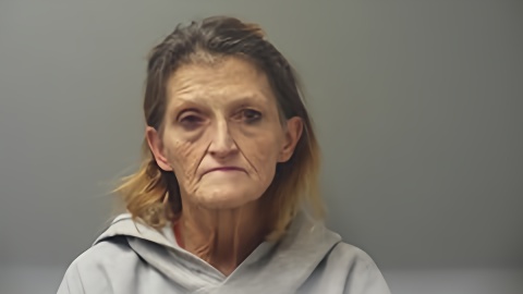 Mugshot of AMANDA BOLTON