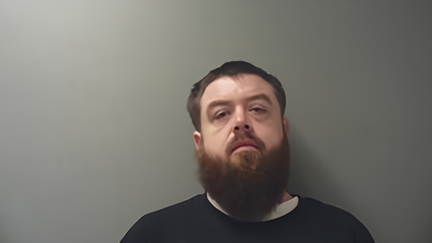 Mugshot of AARON LEE