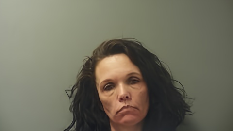 Mugshot of JENNIFER JOHNSON