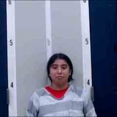 Mugshot of JUANA J FELIPE