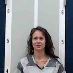 Mugshot of TRACEY L STONE