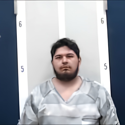 Mugshot of JUAN L ORTEGA
