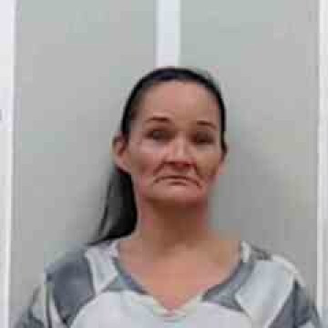 Mugshot of MICHELLE L MCCULLOUGH