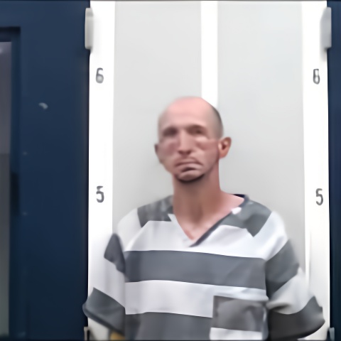 Mugshot of BRANDON R JOHNSON