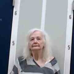 Mugshot of BRENDA ELLIS