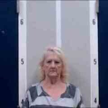 Mugshot of BRENDA D JOHNSON