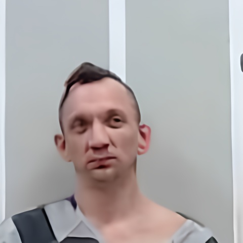 Mugshot of FREDDIE L BRADFORD
