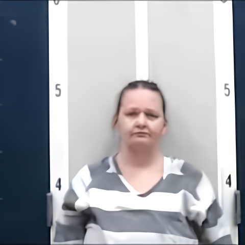Mugshot of TIFFANY L CHILDRESS
