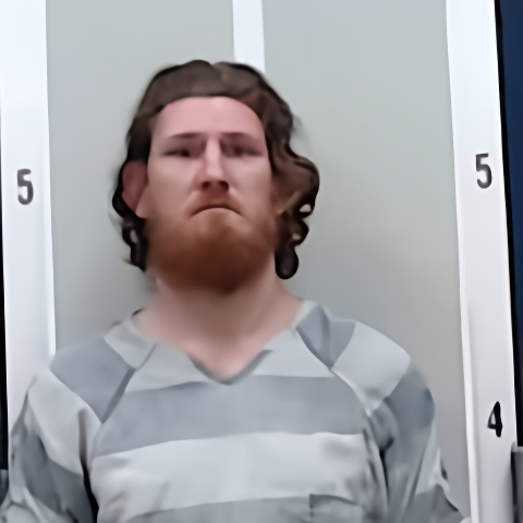 Mugshot of ROBERT W LEININGER
