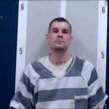 Mugshot of DAVID D ELKINS