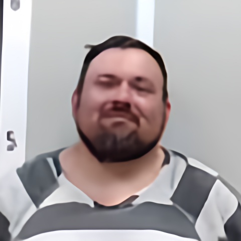 Mugshot of JAMES L ROBBINS