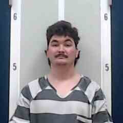 Mugshot of RICKEY L WHITE