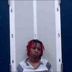 Mugshot of MICAH G WILSON