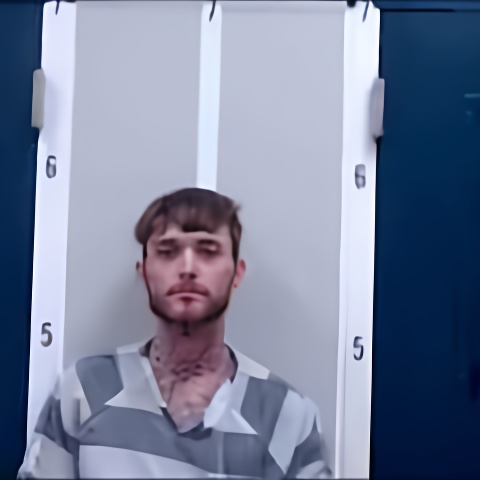 Mugshot of TRISTIAN T GARRETT