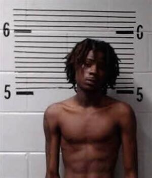 Mugshot of ELLIS