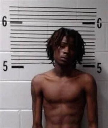 Mugshot of ELLIS
