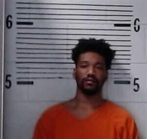 Mugshot of PERRY