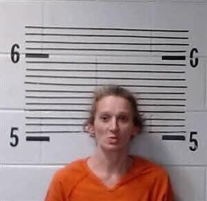 Mugshot of CRIBB