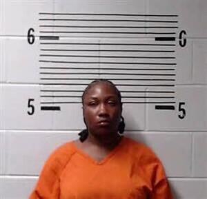 Mugshot of AKINS