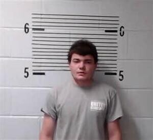 Mugshot of HORTON