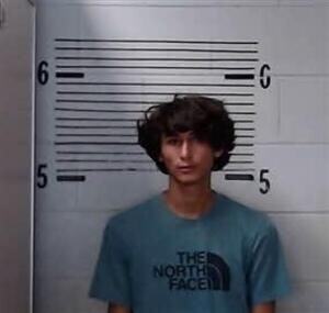 Mugshot of HERNANDEZ