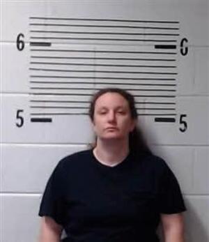 Mugshot of WEBSTER