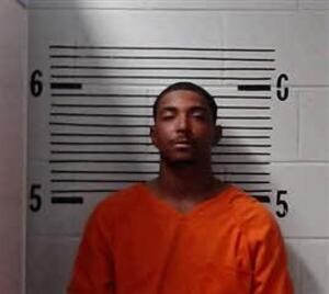 Mugshot of WEBB-PARKER