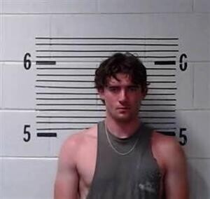 Mugshot of WEAVER