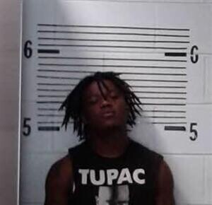 Mugshot of TOMLIN