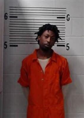 Mugshot of JOHNSON