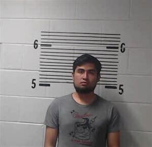 Mugshot of TELLO-LOGO