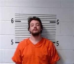 Mugshot of WILKINSON