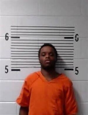 Mugshot of HOLLOWAY